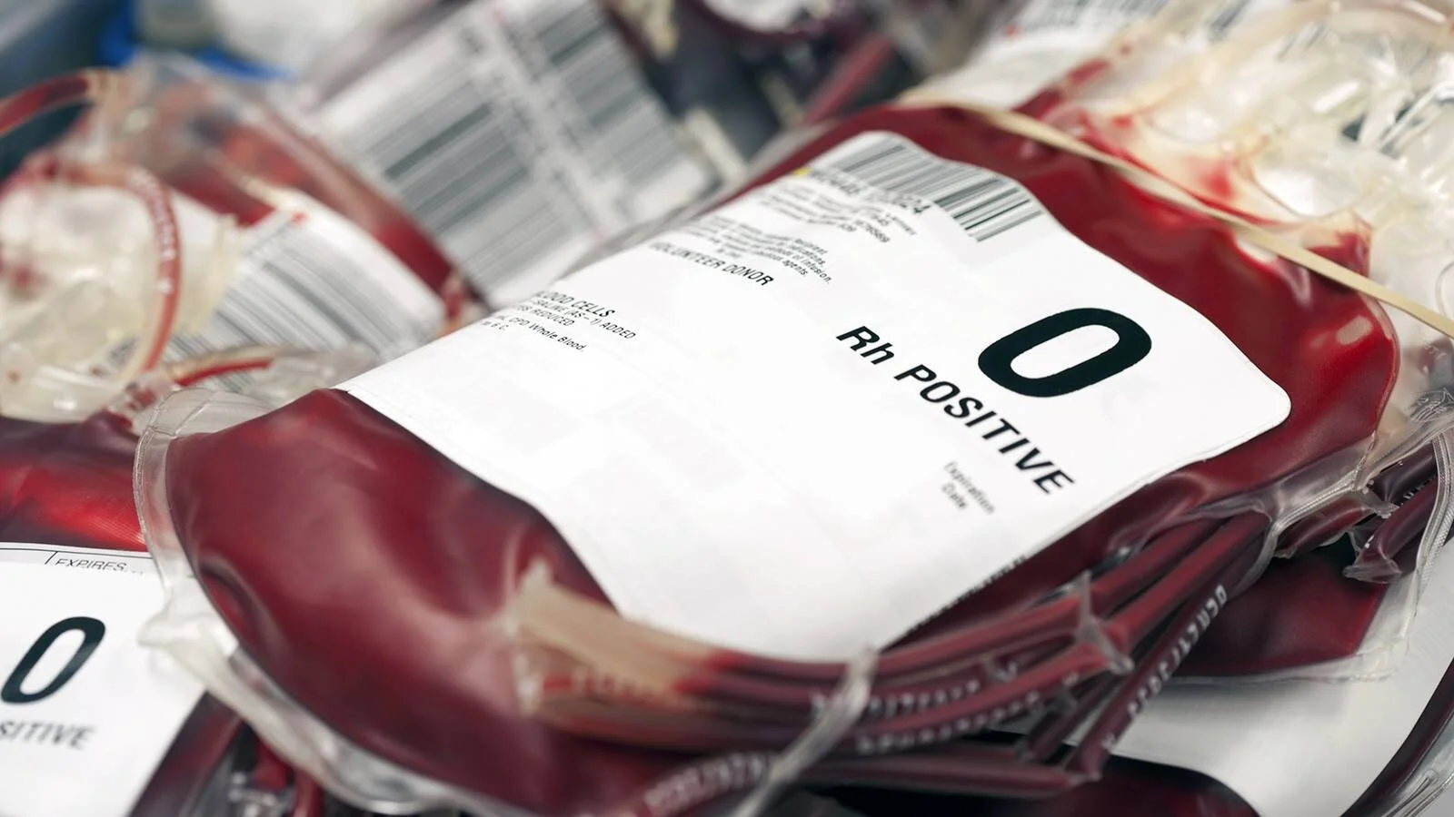Bolsas de sangre etiquetadas con grupo 0 Rh positivo almacenadas en un banco de sangre.