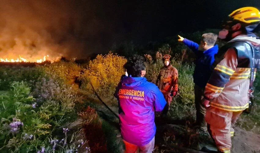 Personal de Emergencia Municipalidad de Concepción y bomberos observan un incendio de vegetación durante la noche.