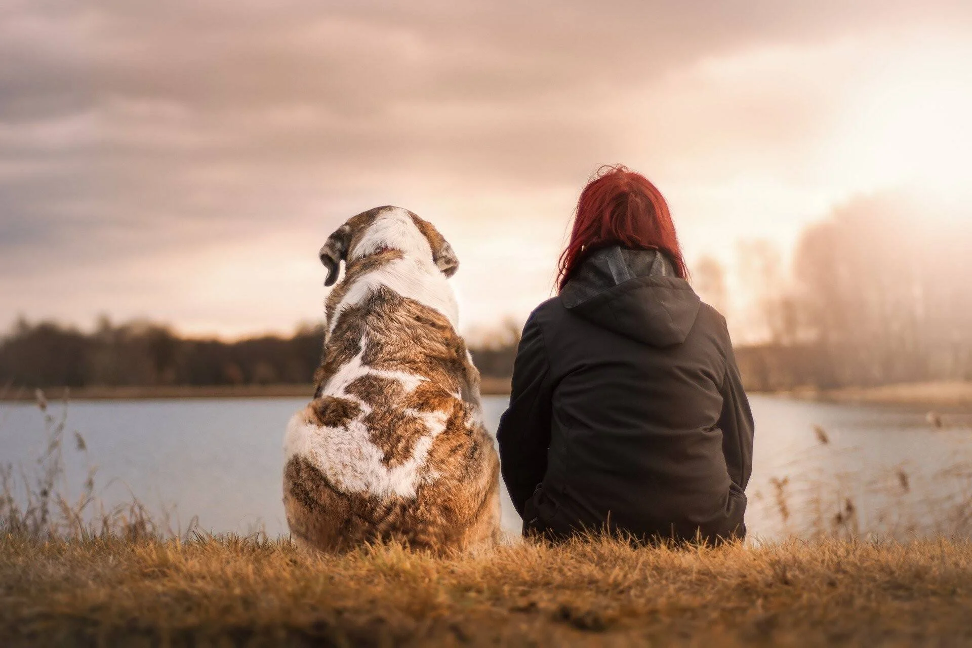 Una mujer de cabello rojo y un perro grande de espalda, sentados juntos a la orilla de un lago bajo un cielo nublado con luz dorada.