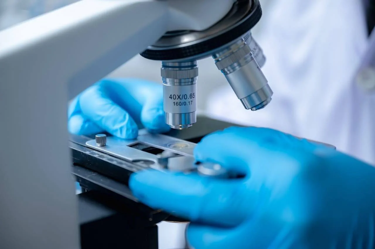 Manos con guantes azules de laboratorio ajustan una muestra bajo los objetivos de un microscopio óptico de 40x.