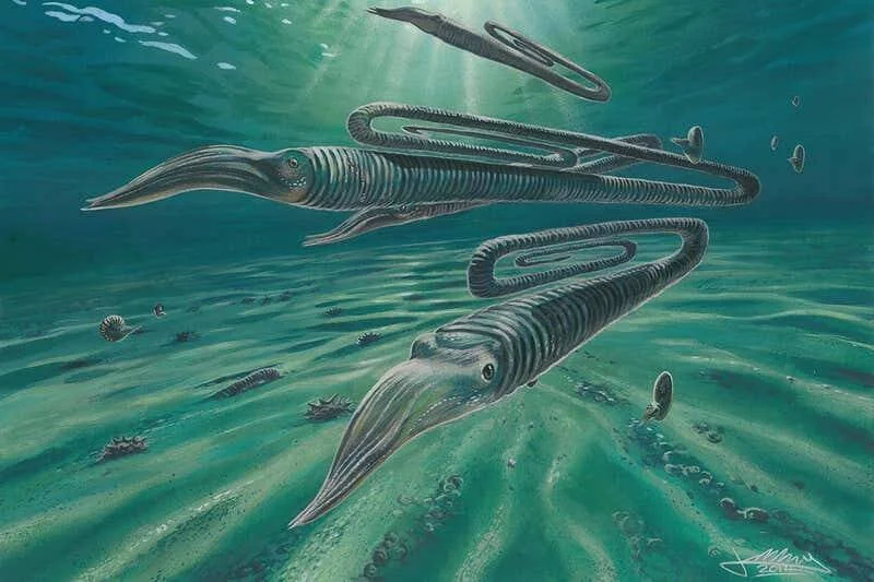 Recreación artística de cefalópodos extintos con concha desenrollada en espiral nadando en un océano prehistórico.