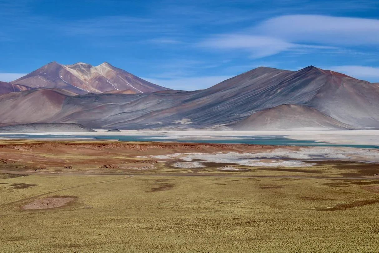 Laguna de aguas turquesas rodeada de sal y vegetación de puna, con imponentes volcanes de colores ocres y grises al fondo bajo cielo azul.