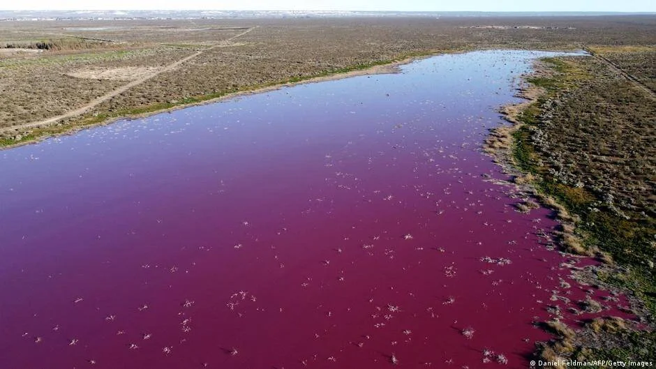 Vista aérea de una laguna con aguas de color rojo púrpura intenso rodeada de estepa árida en la Patagonia argentina.