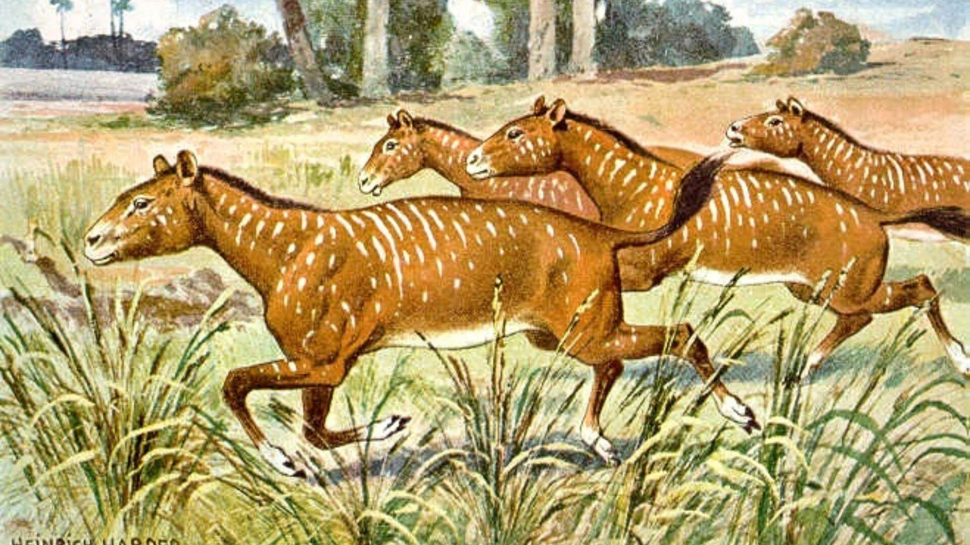 Pintura de Heinrich Harder que muestra un grupo de équidos prehistóricos con rayas y manchas blancas corriendo por la llanura.
