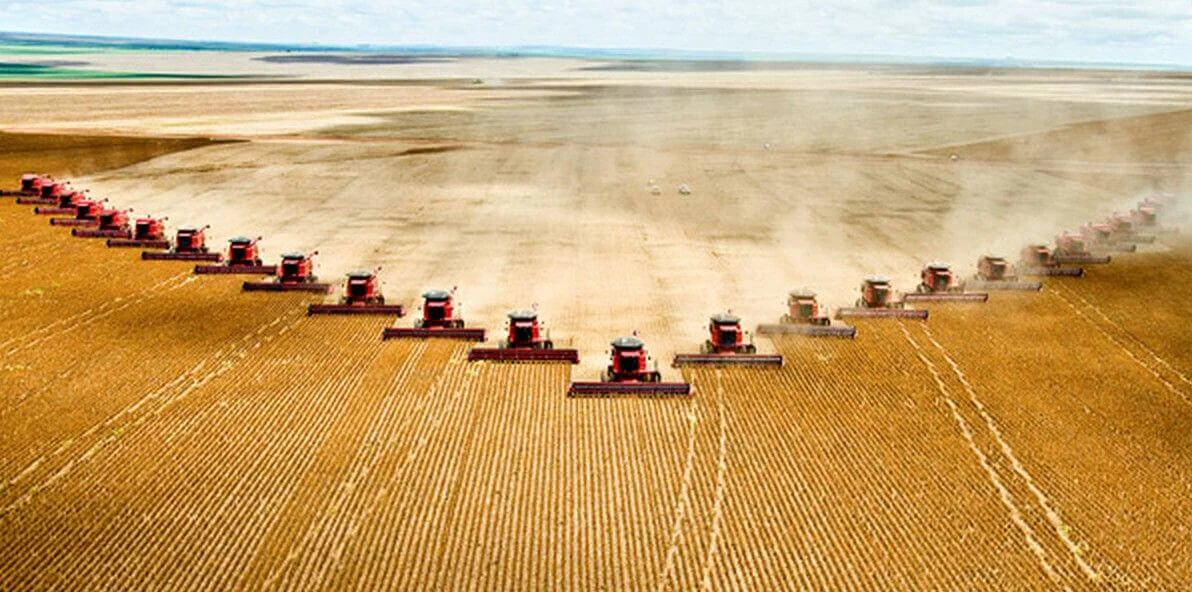 Decenas de cosechadores rojos avanzan en formación sobre un extenso campo de cultivo, levantando polvo en la cosecha.