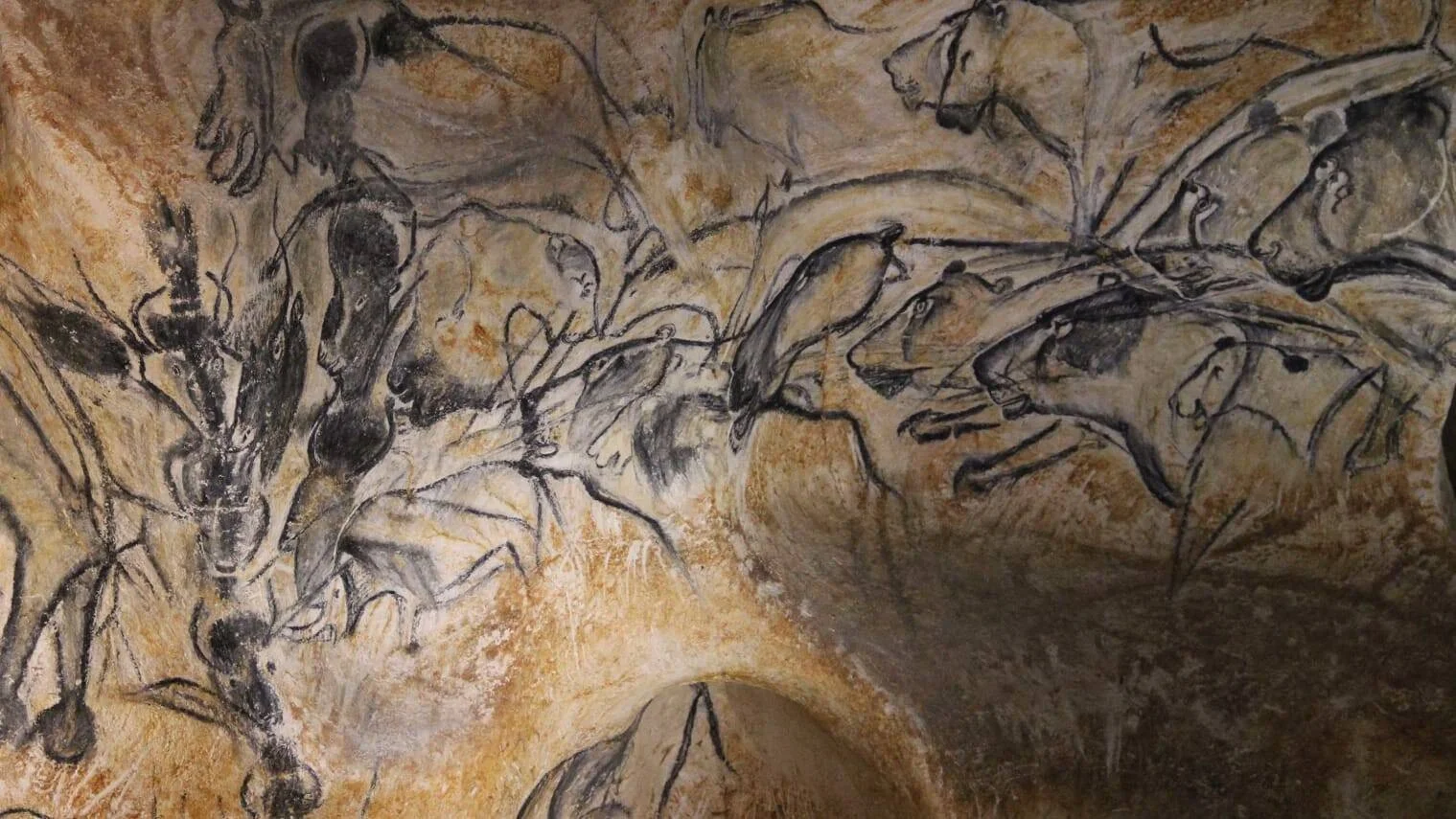 Panel de arte rupestre prehistórico con múltiples figuras de animales —leones, rinocerontes y ciervos— trazadas en carbón sobre roca ocre.
