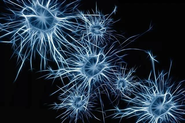 Representación artística de neuronas con dendritas luminosas azules sobre fondo negro, mostrando conexiones del sistema nervioso.