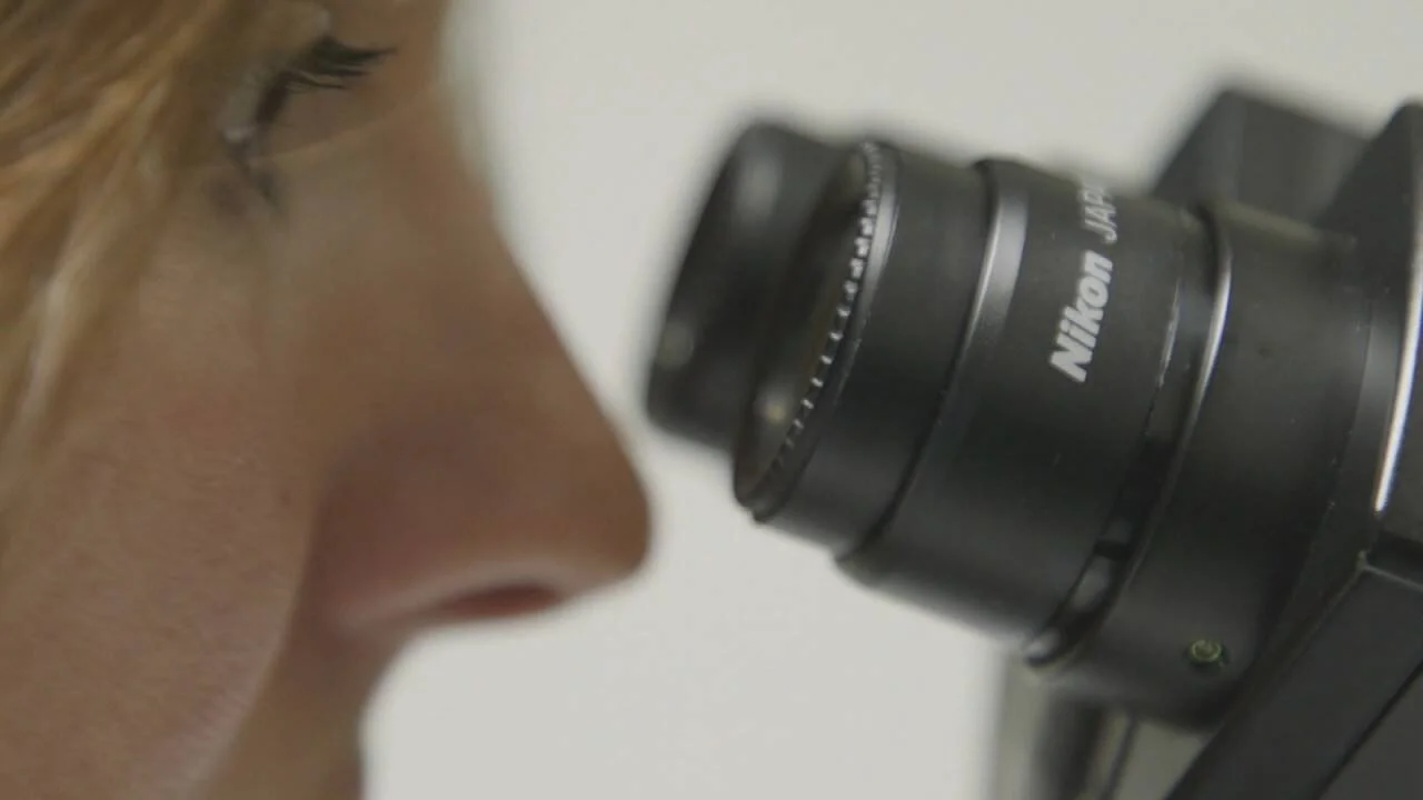 Una persona observa a través del ocular de un microscopio Nikon en primer plano.