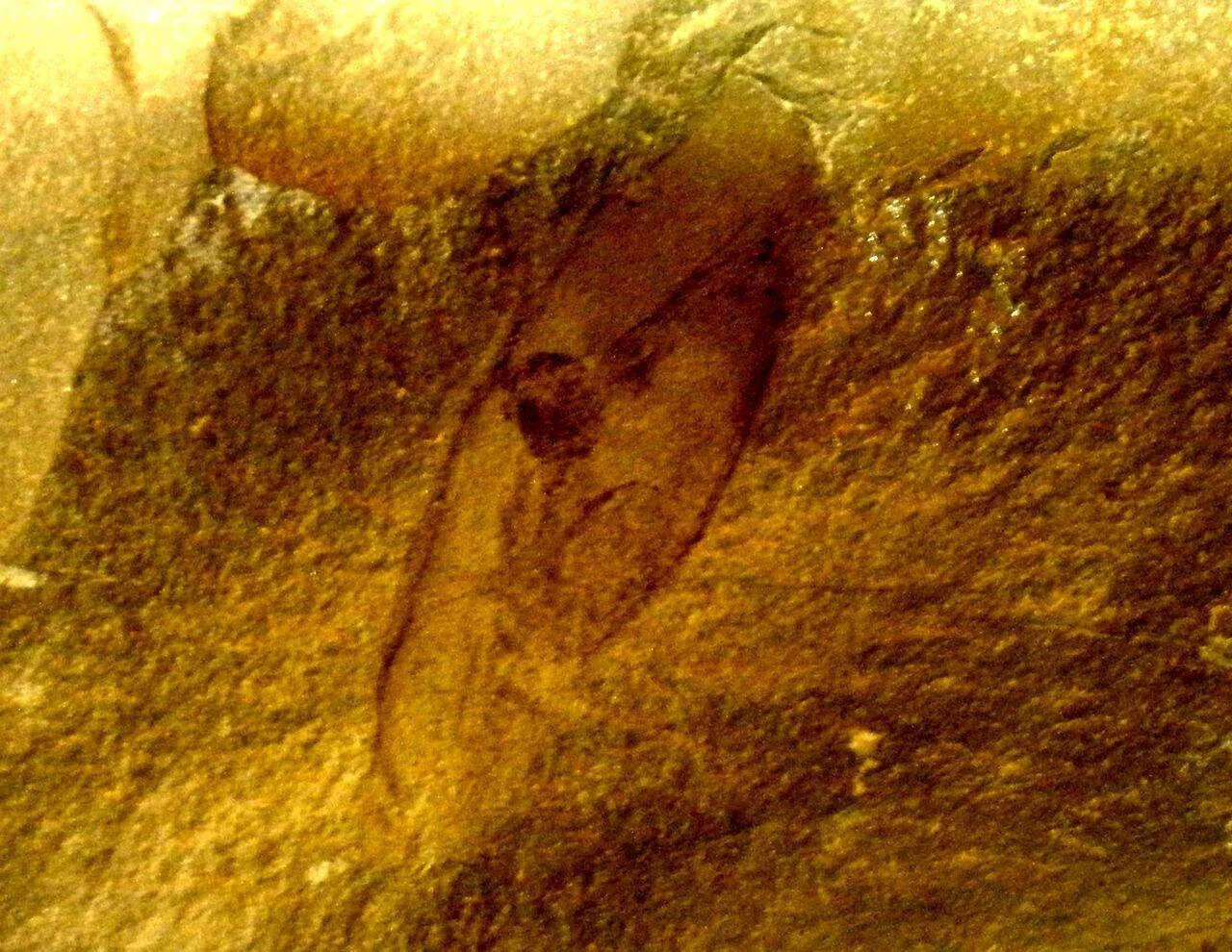 Detalle de un grabado o petroglifo sobre roca de tonos ocres y marrones, con líneas incisas que forman una figura esquemática.
