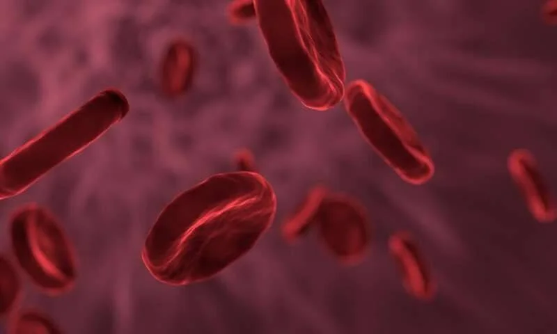 Ilustración 3D de glóbulos rojos circulando en el torrente sanguíneo sobre fondo rojo oscuro.