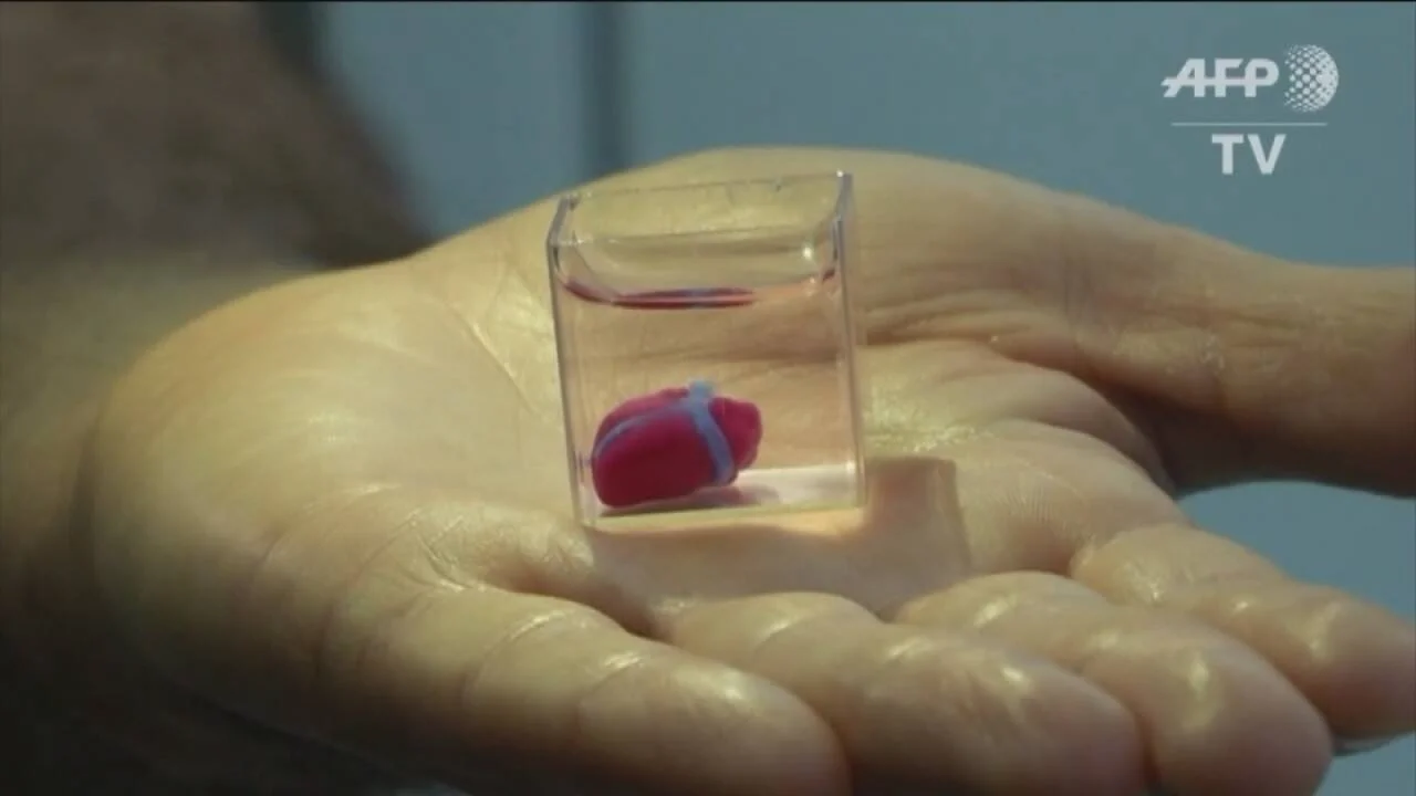 Una mano sostiene un pequeño contenedor de plástico transparente con un corazón humano impreso en 3D de color rojo y azul.