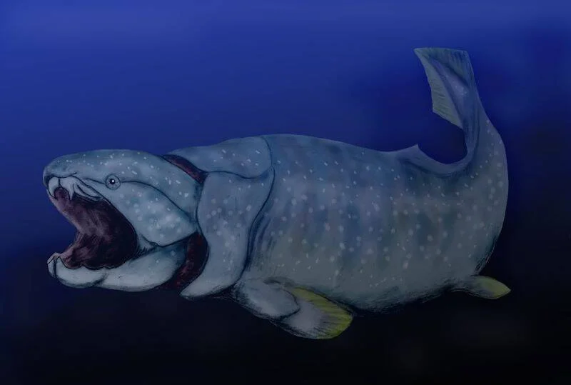Reconstrucción artística de un placodermo prehistórico con la boca abierta mostrando sus mandíbulas, nadando en aguas profundas.