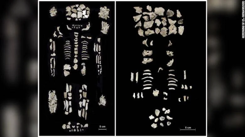 Dos conjuntos de huesos fragmentados dispuestos sobre fondo negro, correspondientes a esqueletos humanos hallados en excavación arqueológica.