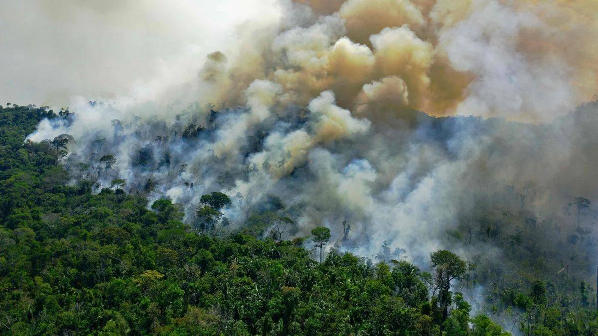 Columnas de humo denso se elevan sobre una extensa selva tropical en llamas, vista desde el aire.