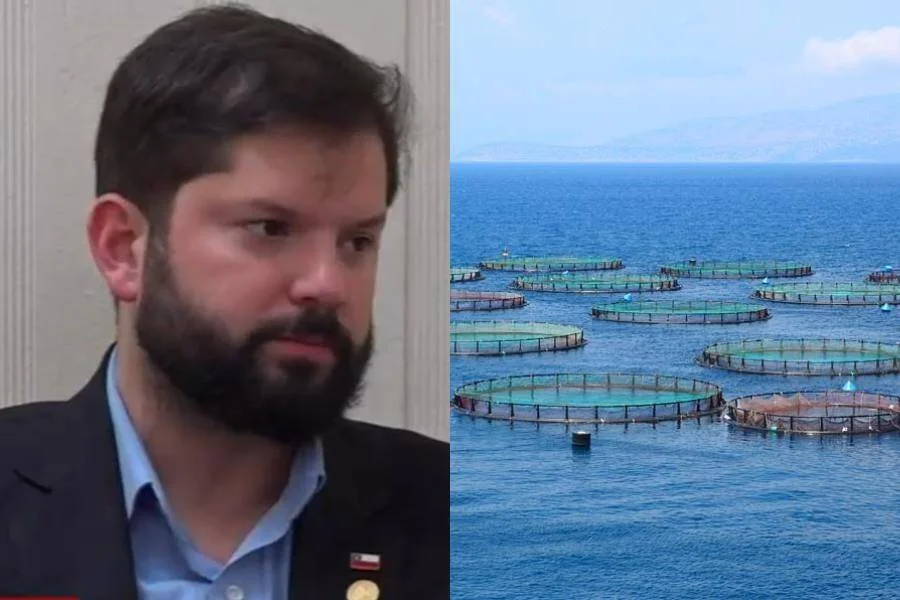 Hombre con barba y pin de la bandera chilena en la solapa, junto a imagen de jaulas de acuicultura en el mar.