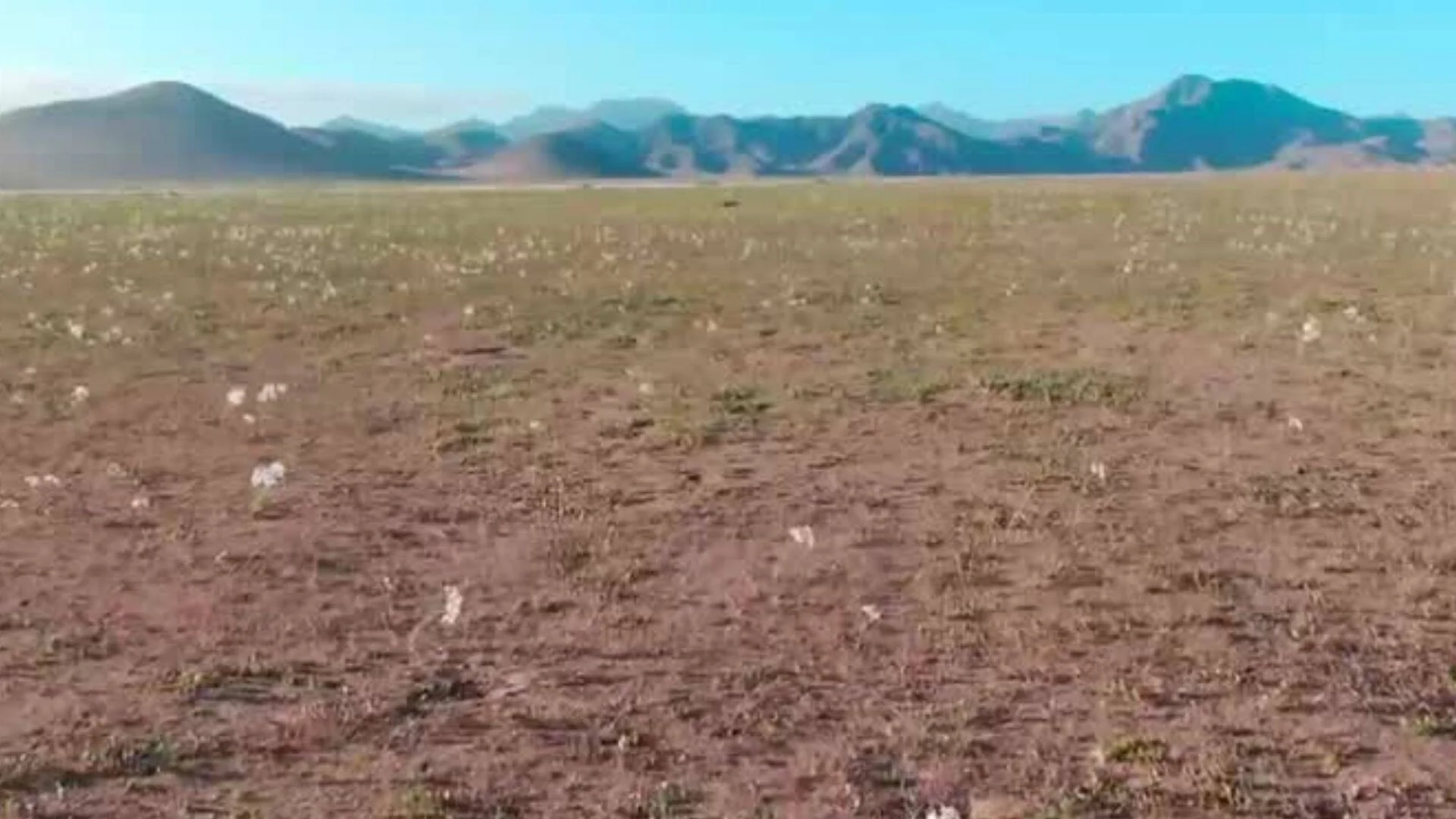 Extensa planicie seca con vegetación escasa y cadena montañosa en el horizonte bajo cielo azul.