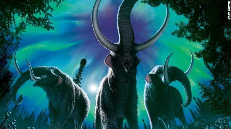 Ilustración artística de una manada de mamuts lanudos con grandes colmillos bajo una aurora boreal en un bosque prehistórico.