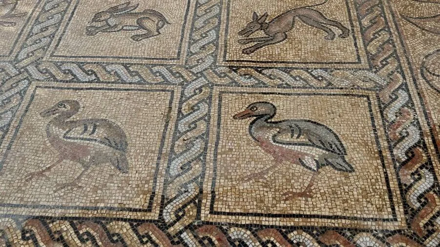Mosaico romano de suelo con paneles que representan un conejo, un perro, una garza y un pelícano, separados por cenefas geométricas.