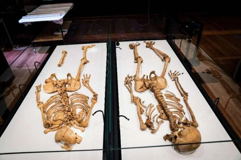 Dos esqueletos humanos antiguos expuestos en vitrinas iluminadas dentro de un museo.