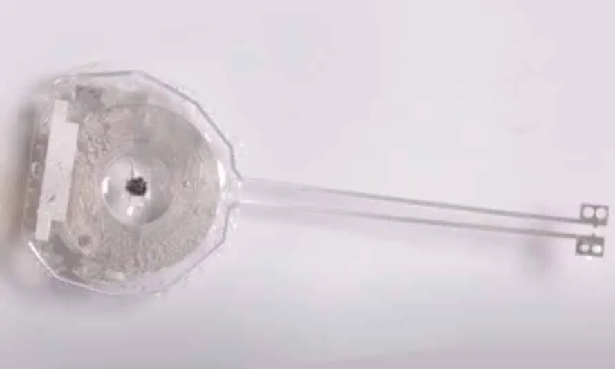 Dispositivo implantable de material transparente con cabezal octogonal y sonda alargada con conectores metálicos.