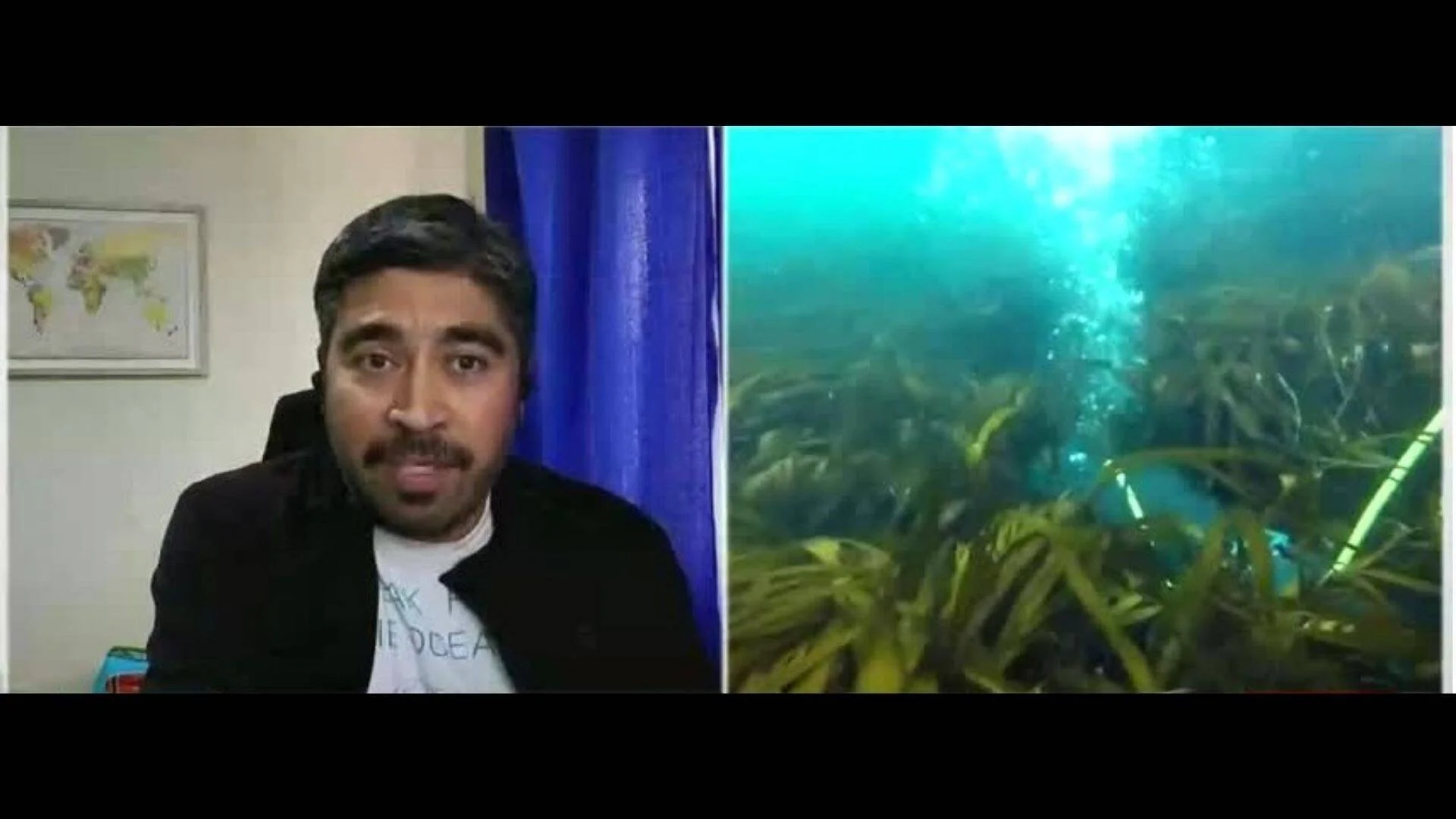 Hombre siendo entrevistado por videollamada junto a una toma submarina de praderas de algas marinas y un buzo.