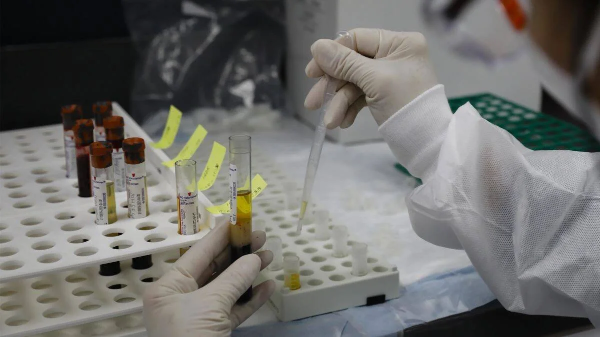 Técnico con guantes y bata blanca pipetea líquido en tubos de ensayo etiquetados sobre una gradilla de laboratorio.