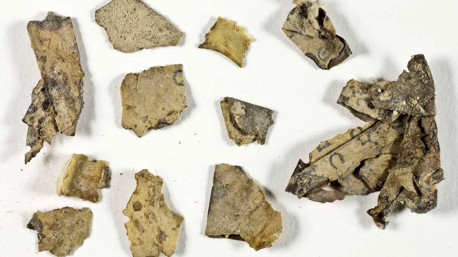 Colección de pequeños fragmentos de pergamino o cuero antiguo con restos de escritura, dispuestos sobre fondo blanco.