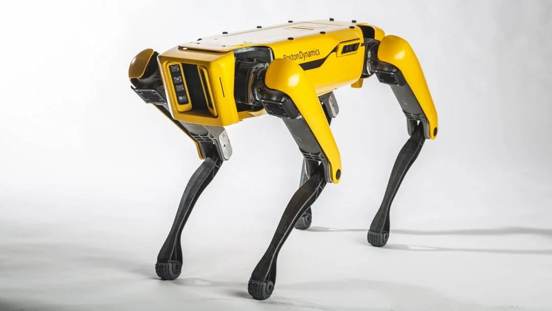 Robot cuadrúpedo Spot de Boston Dynamics con cuerpo amarillo y patas negras sobre fondo blanco.