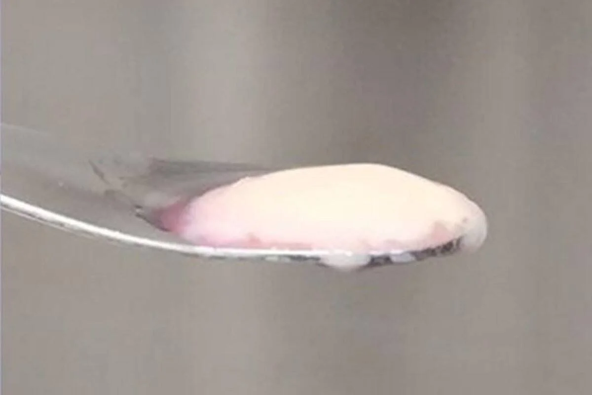 Pequeño organismo blanco rosado, posiblemente una larva o parásito, sostenido sobre una cuchara metálica.