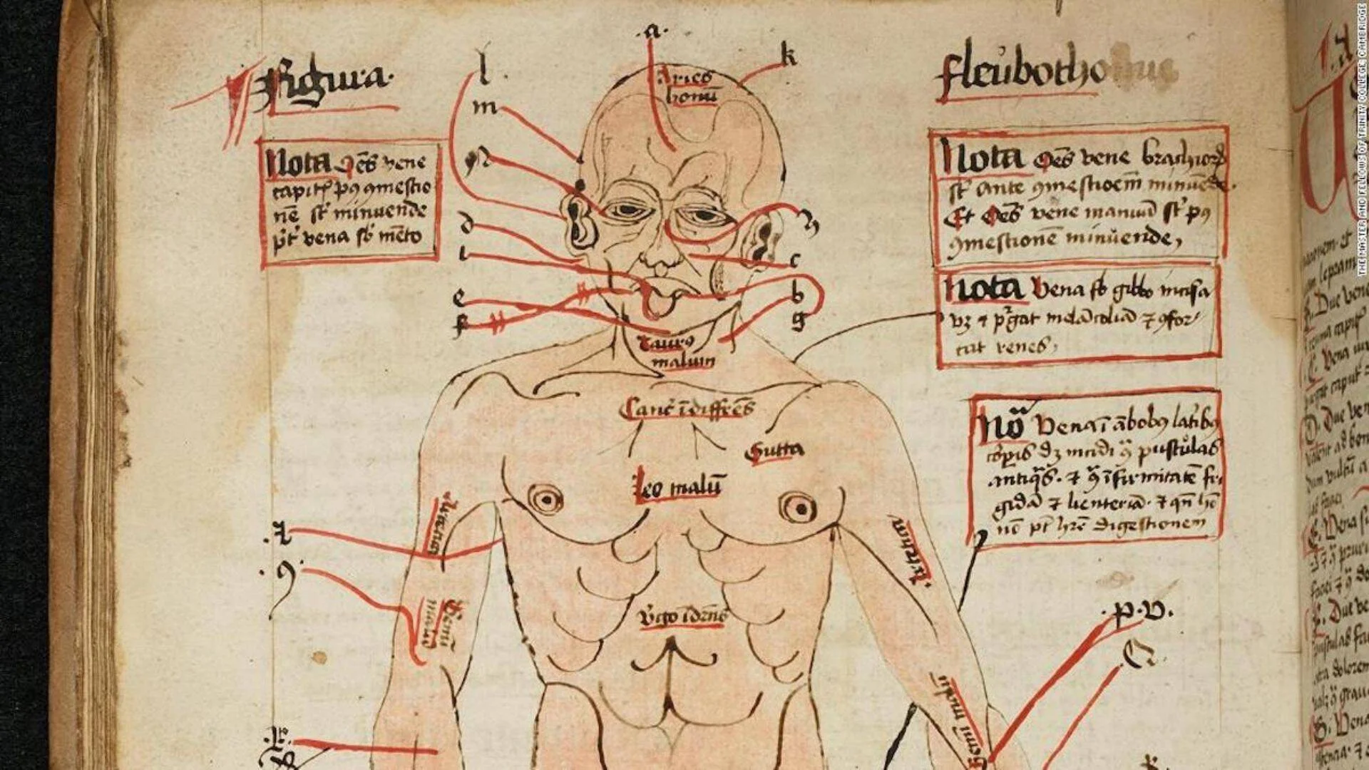 Ilustración medieval de figura humana con líneas rojas señalando venas para sangría, acompañada de notas en latín.