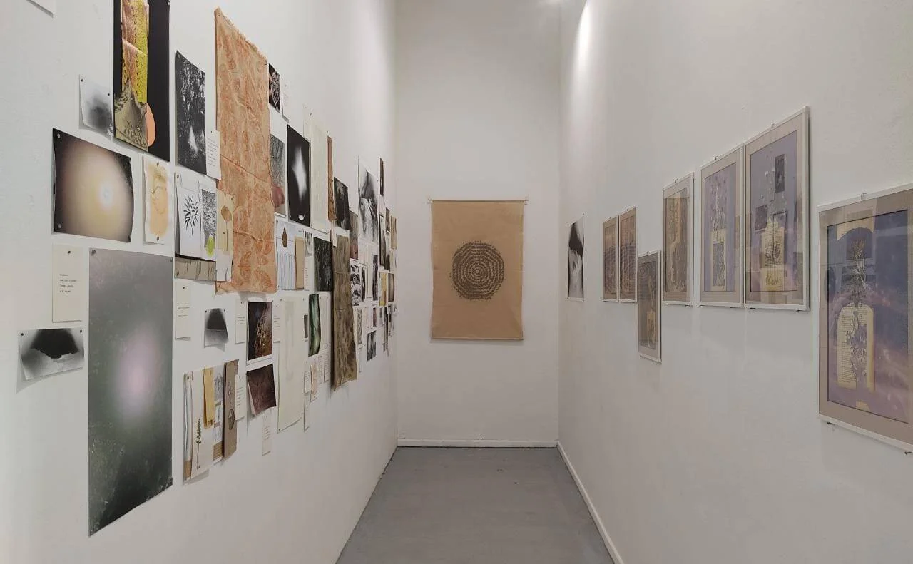 Vista interior de una galería de arte con múltiples obras sobre papel y tela distribuidas en paredes blancas, incluyendo fotografías, dibujos y textiles.