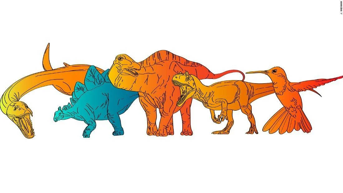 Ilustración científica de distintas especies de dinosaurios y un colibrí, representados en colores cálidos y fríos para mostrar su evolución.