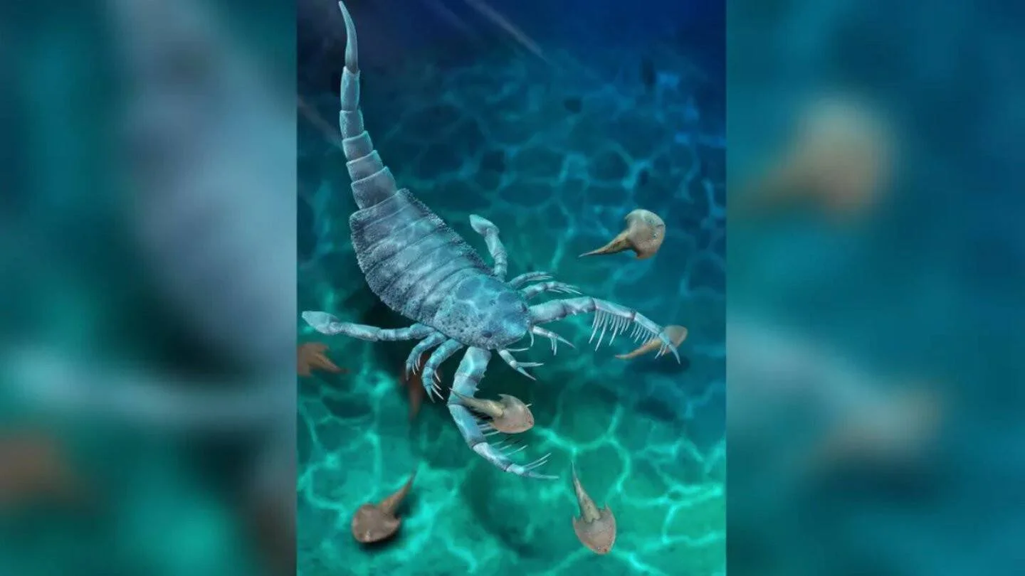 Recreación artística de un escorpión marino gigante prehistórico rodeado de peces primitivos en aguas poco profundas.