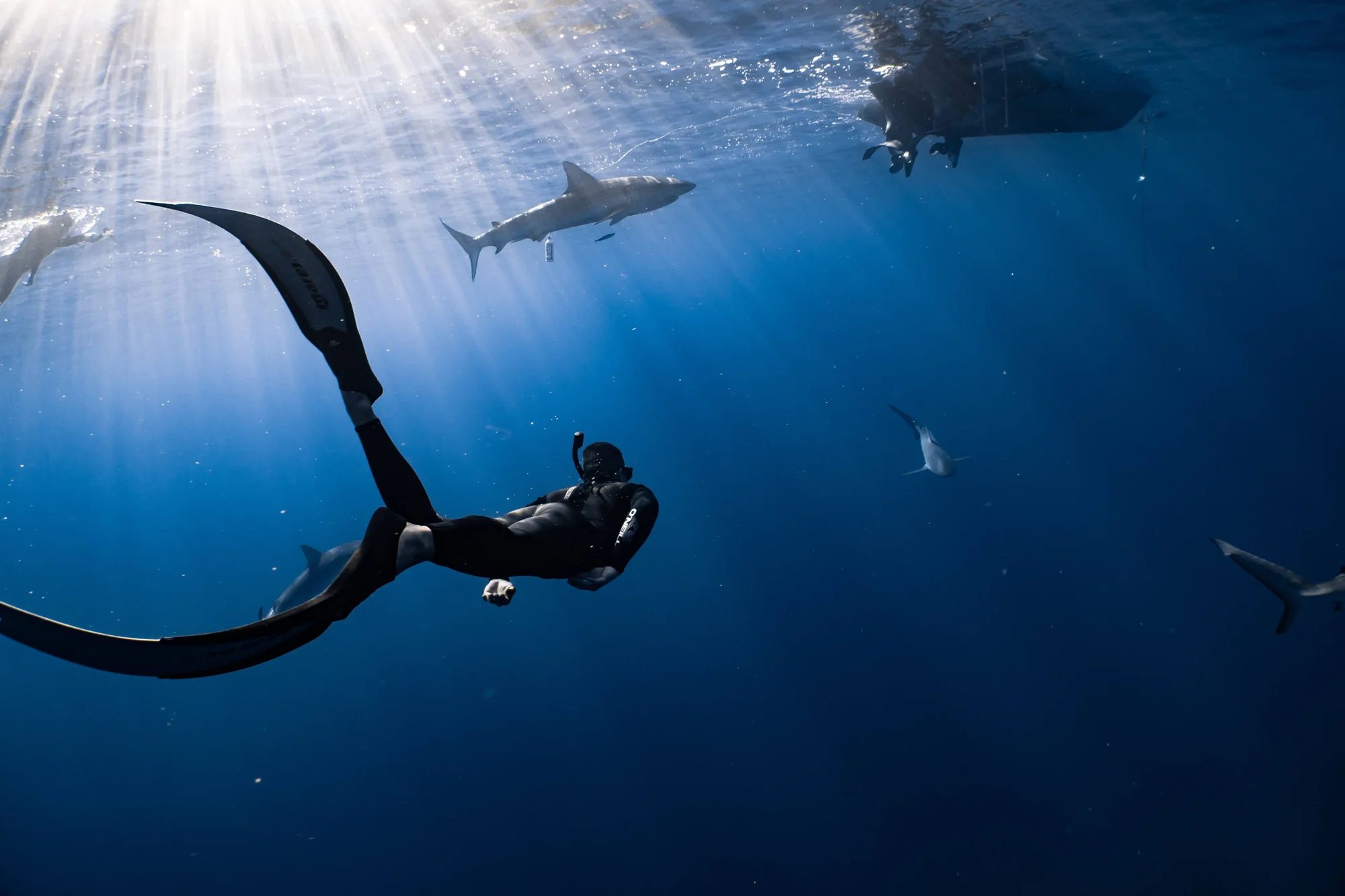 Un buceador en apnea con aletas largas nada en aguas azules profundas rodeado de varios tiburones, con rayos de sol penetrando desde la superficie.