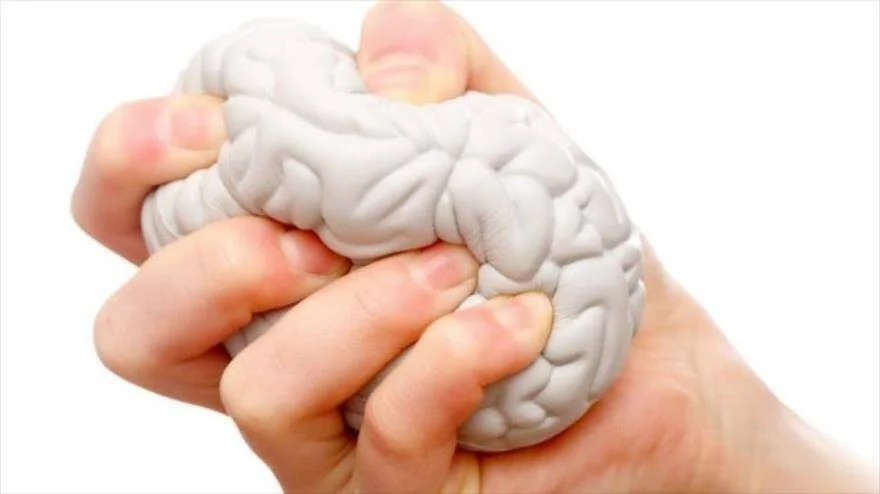 Una mano aprieta con fuerza una réplica blanda de cerebro humano, simbolizando el estrés mental.