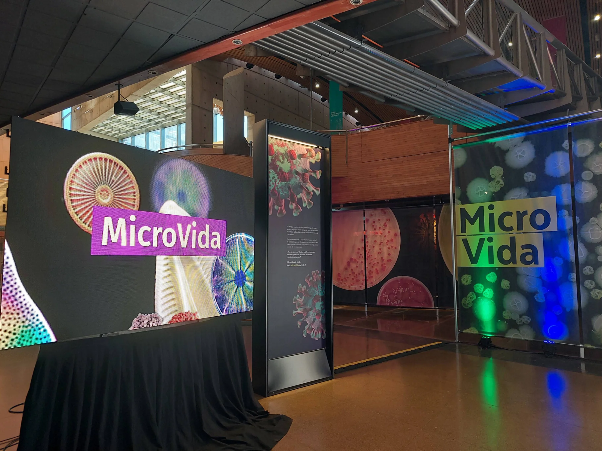 Stand de la exposición MicroVida con grandes paneles que muestran imágenes ampliadas de microorganismos y bacterias.