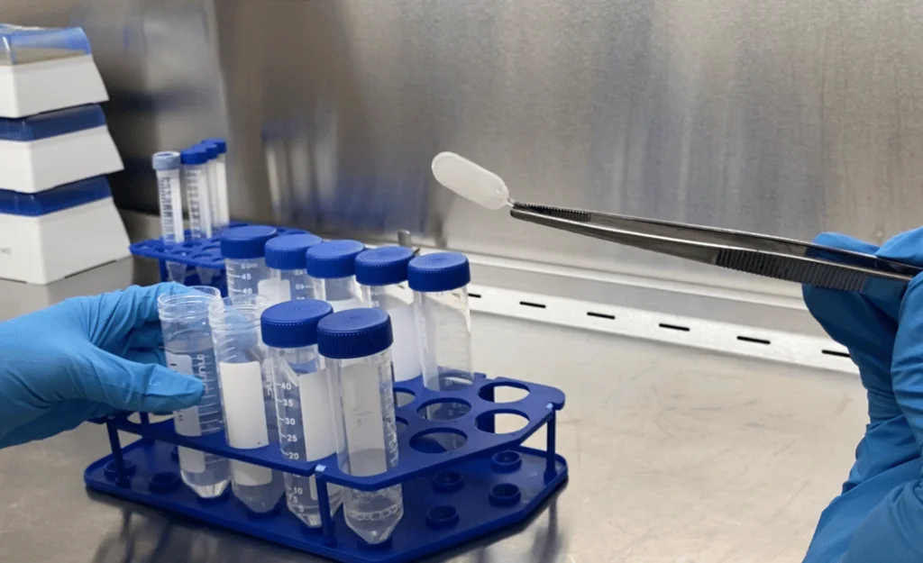 Manos con guantes azules sostienen una gradilla con tubos de ensayo mientras unas pinzas sujetan una pequeña cápsula blanca en un laboratorio.