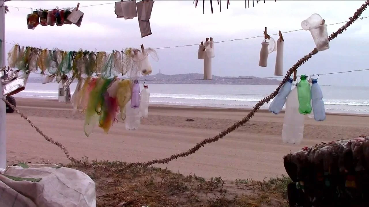 Botellas, bolsas y envases plásticos recogidos de la playa cuelgan de cuerdas y ramas a orillas del mar.