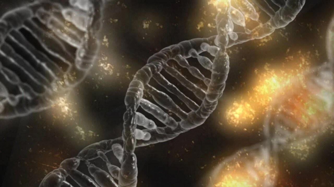 Representación digital de cadenas de ADN en doble hélice sobre fondo oscuro con destellos dorados.