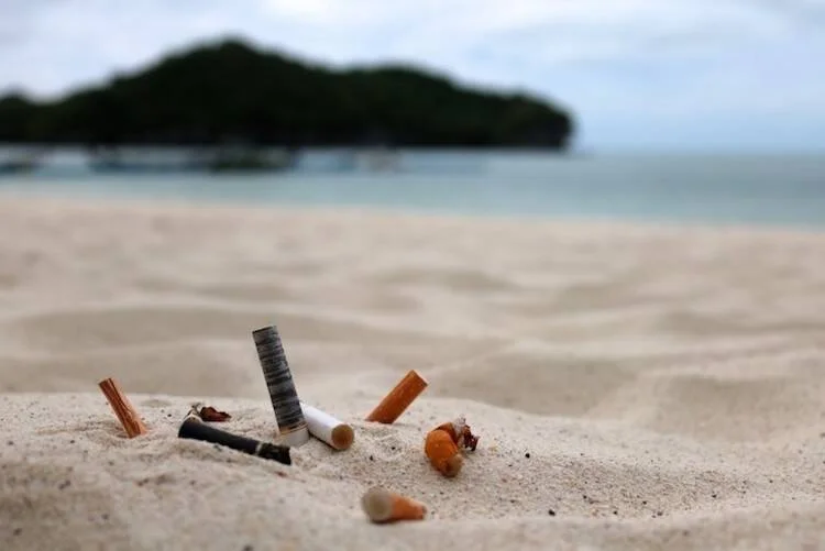 Varias colillas de cigarrillos abandonadas sobre la arena de una playa, con el mar y vegetación al fondo.