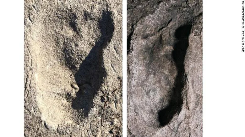 Comparación de dos huellas de pie fósiles preservadas en roca, atribuidas a homínidos antiguos.