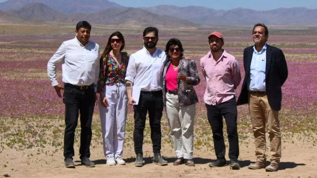 Seis personas posan juntas frente a un desierto cubierto de flores rosas y montañas al fondo.