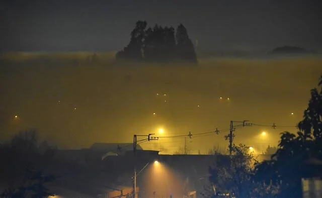 Densa niebla cubre una zona urbana de noche, con farolas encendidas que tiñen el ambiente de amarillo y árboles asomando entre la bruma.