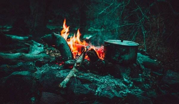 Olla metálica junto a una fogata encendida entre troncos en un bosque oscuro.