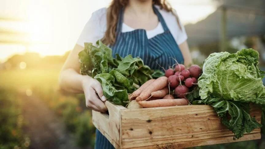 Mujer con delantal sostiene una caja de madera con zanahorias, rábanos, lechuga y verduras de hoja recién cosechadas.