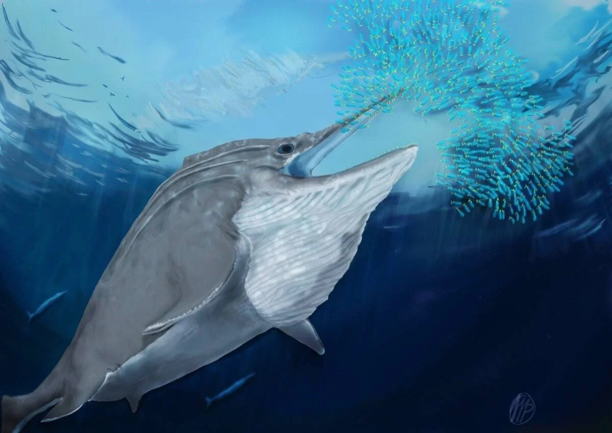 Reconstrucción artística de un ictiosaurio prehistórico atacando un banco de peces pequeños en el océano.