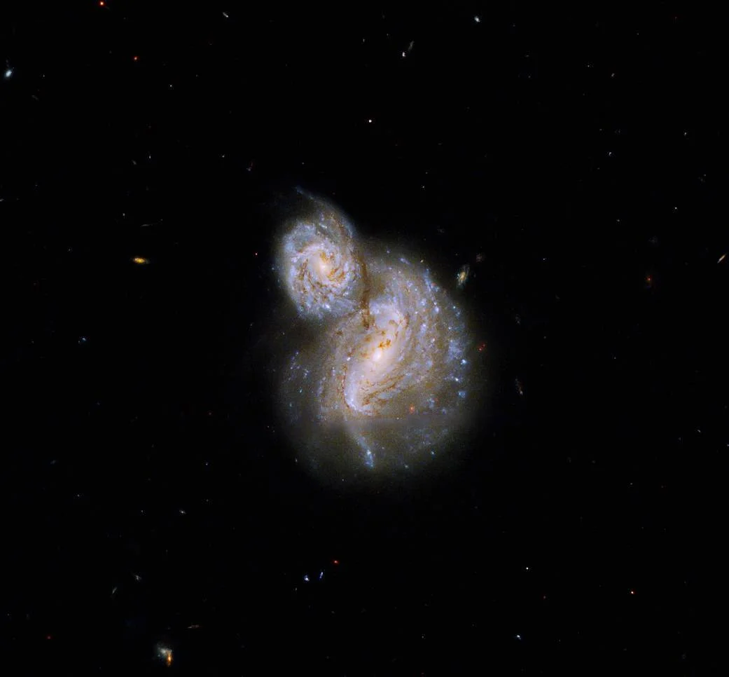 Dos galaxias espirales en proceso de fusión, con núcleos brillantes y brazos de polvo dorado entrelazados sobre fondo negro estrellado.