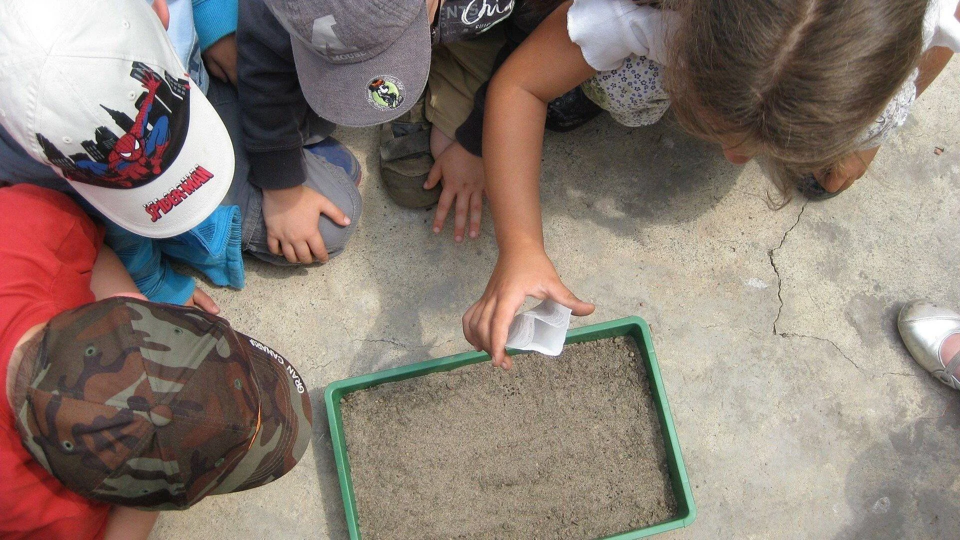 Grupo de niños arrodillados observan cómo una mano siembra semillas en una bandeja con tierra.