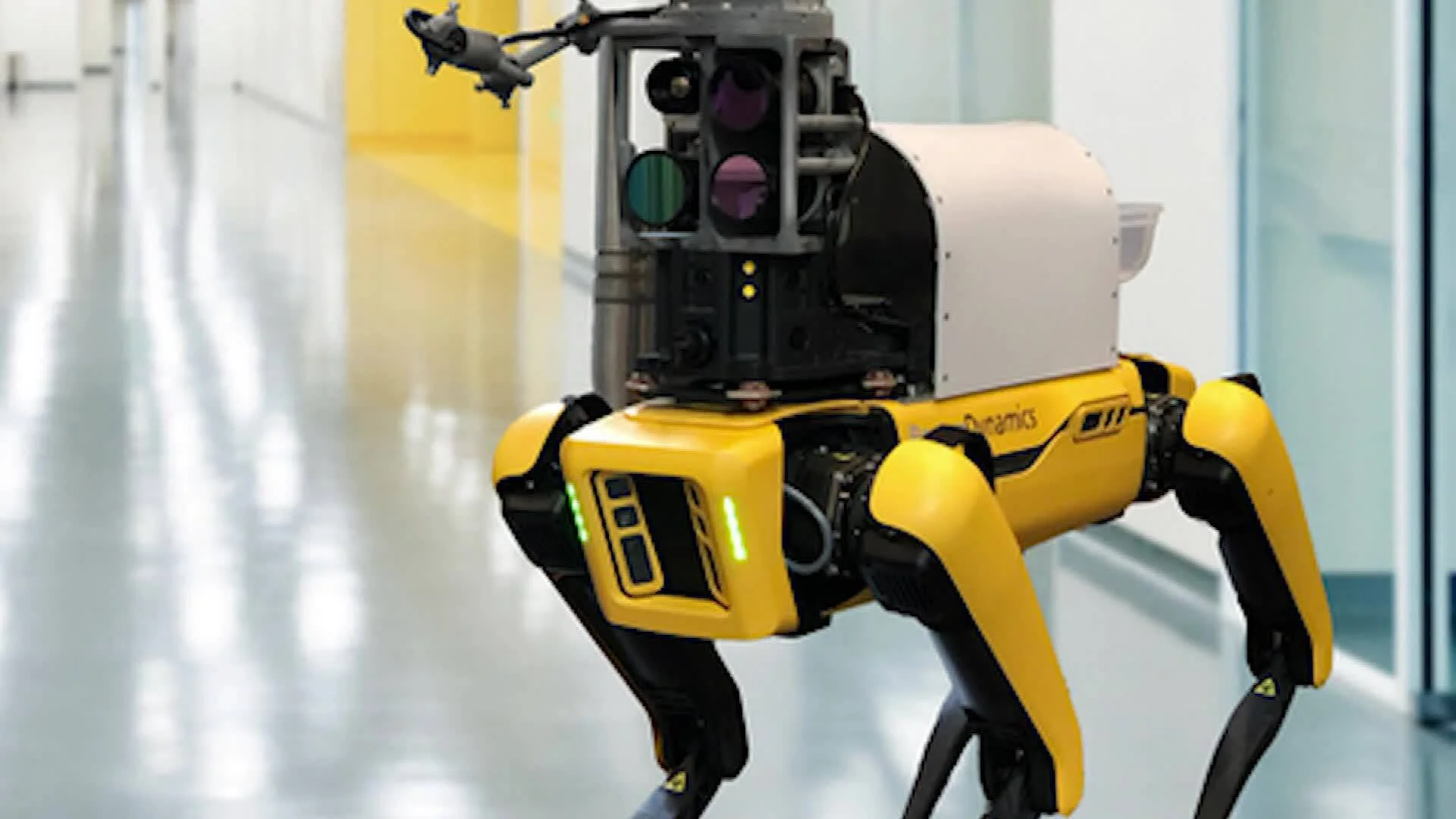 Robot perro de Boston Dynamics de color amarillo equipado con sensores y cámaras avanzadas recorre un pasillo interior.