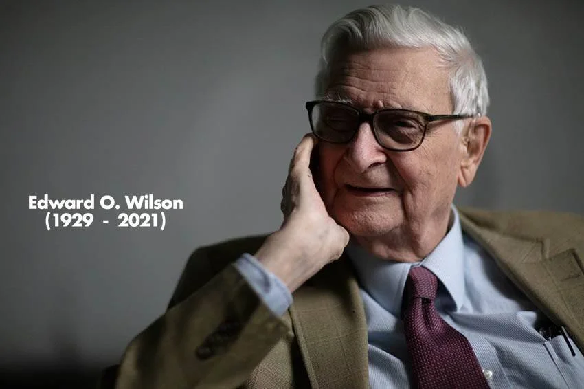 Edward O. Wilson (1929-2021), científico y biólogo, fotografiado en sus últimos años con gafas y saco beige.